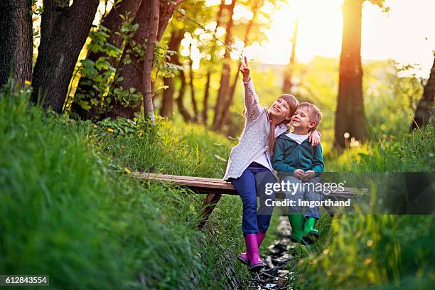 brother and sister sitting on bridge in forest - girl pointing bildbanksfoton och bilder