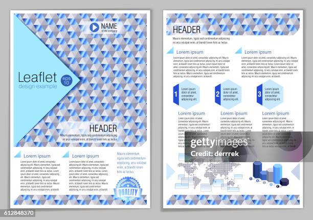 Infographic Leaflet Example 96 Border Control Infographic Vector High Res Illustrations - Getty Images