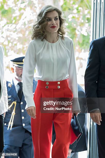 Queen Letizia of Spain attends the Red Cross Fundraising day event on October 5, 2016 in Madrid, Spain.