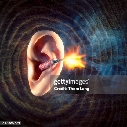 Firecracker Ear Firecracker Ear