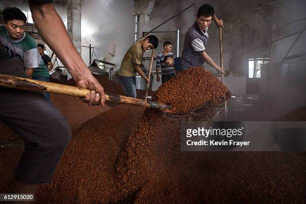 Chinese workers shovel steamed sorghum as it is prepared for the first fermentation to be used in locally made wine called baijiu at the Maopu Health...