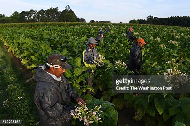 88 Jorge Rangel Stock Photos, High-Res Pictures, and Images - Getty Images