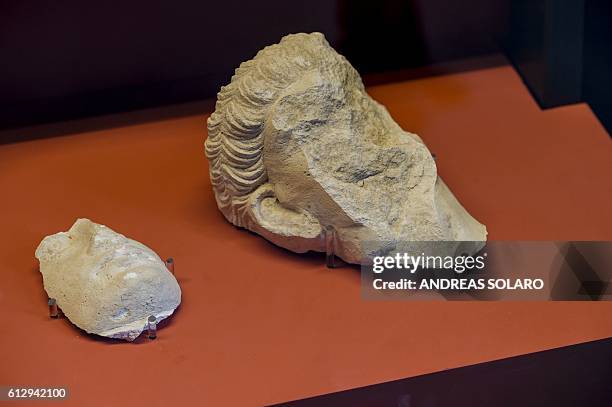 Picture shows a part of two busts whose faces were hammered away by Isis members at Palmyra's Museum in Syria, as part of an exhibition called...