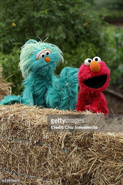 Sesame Street's Elmo and Rosita provide commentary during an event to harvest the White House Kitchen Garden with U.S. First lady Michelle Obama on...