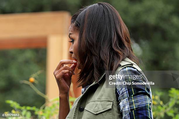 First lady Michelle Obama tastes a tomato plucked from White House Kitchen Garden during a harvesting event with students on the South Lawn of the...