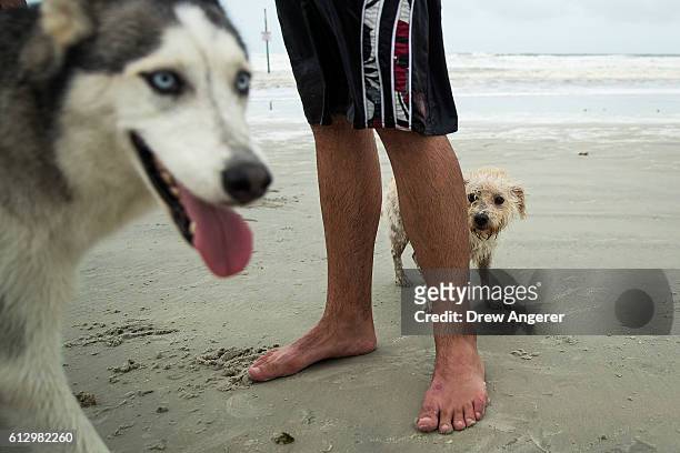 Dogs Noah and Buddy play along the shoreline of Daytona Beach, October 6, 2016 in Daytona Beach, Florida. With Hurricane Matthew approaching the...