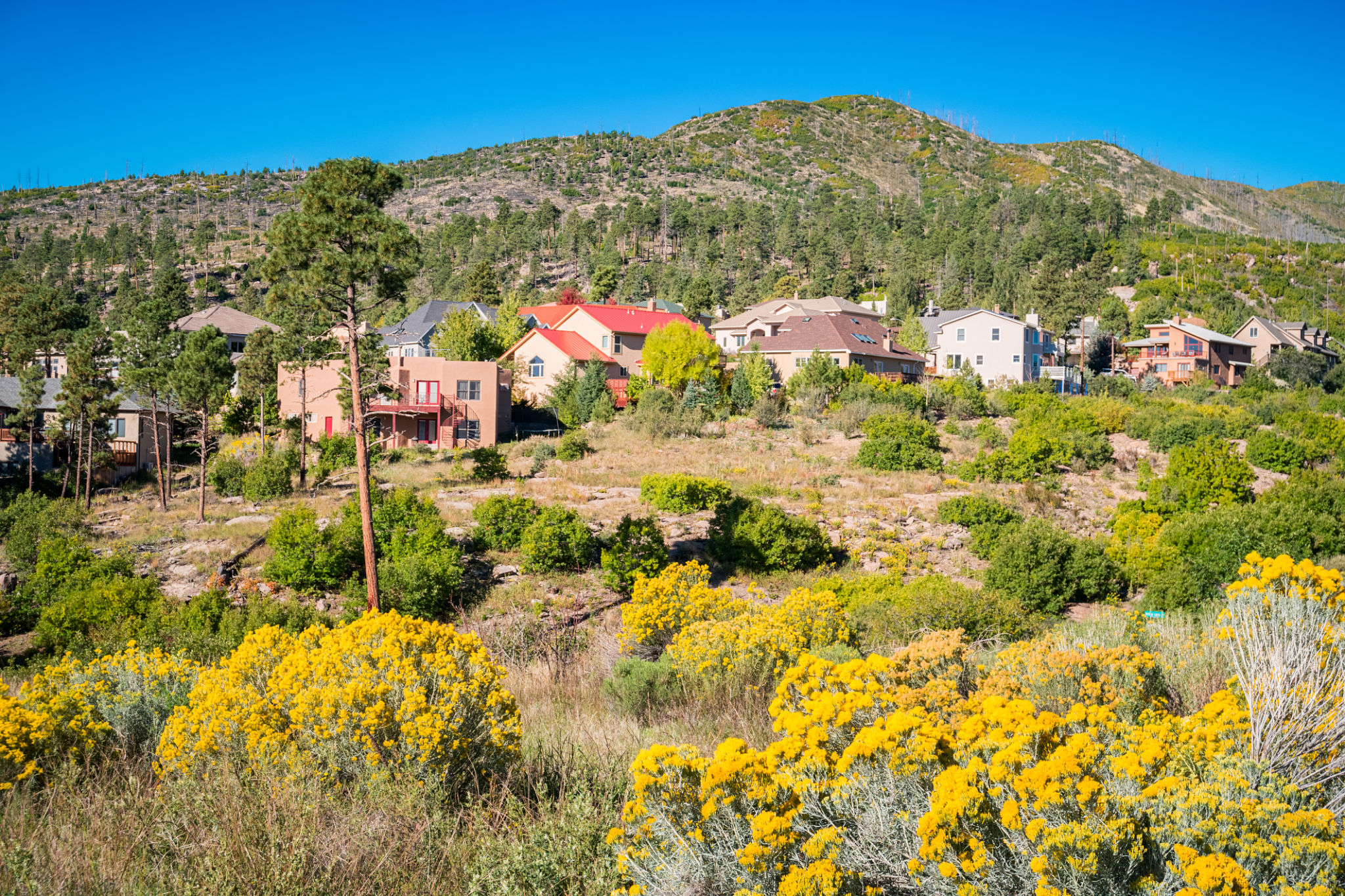los alamos mountains