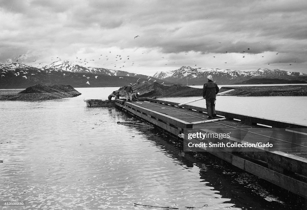 Dock Construction