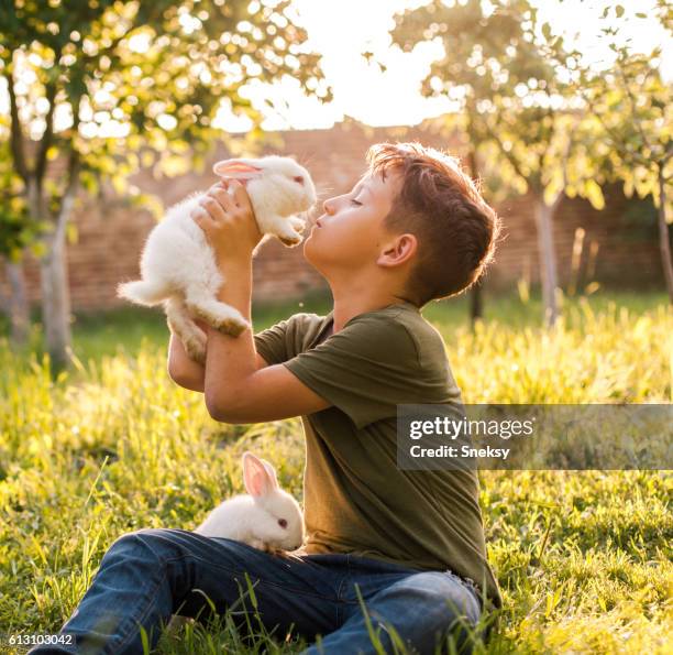 Boy kissing his rabbit