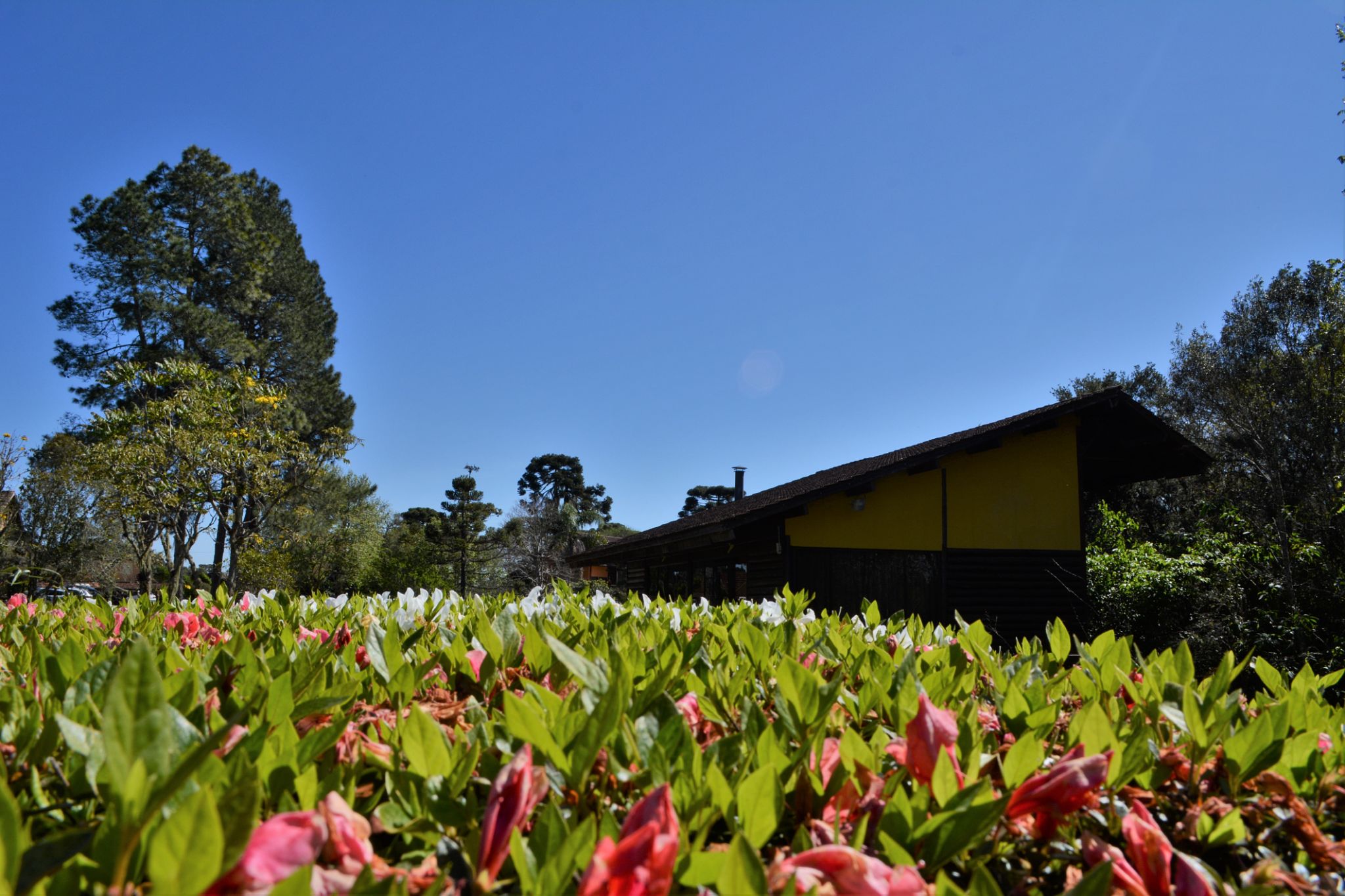 casa da coragem primavera