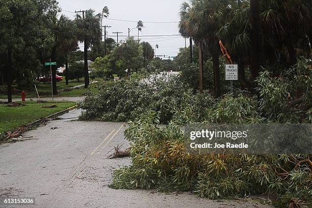 Tree branches that snapped off trees are seen blocking the road after Hurricane Matthew passed through the area on October 7, 2016 in Fort Pierce,...