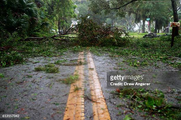 Tree branches and debris cover a street in a residential community after Hurricane Matthew passes through on October 7, 2016 in Ormond Beach,...