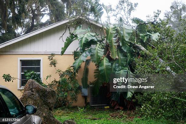 Downed tree from high winds rests against the side of a home in residential community after Hurricane Matthew passes through on October 7, 2016 in...