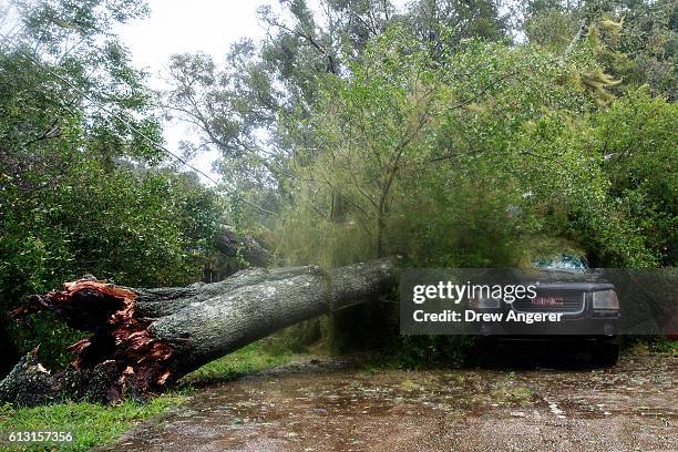 Downed tree from high winds rests against a car in a residential community after Hurricane Matthew passes through on October 7, 2016 in Ormond Beach,...