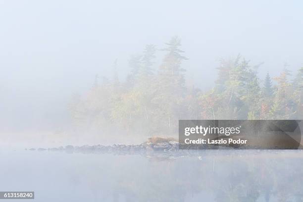 morning fog - bedford nova scotia bildbanksfoton och bilder