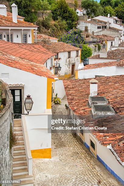 beautiful streets of obidos - portugees straatmozaïek stockfoto's en -beelden