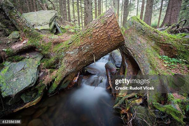 Intersecting Rivers Intersecting Rivers Photos and Premium High Res Pictures - Getty Images