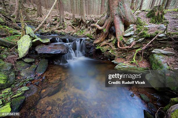 Intersecting Rivers 329 Intersecting Rivers Stock Photos, High-Res Pictures, and Images ...