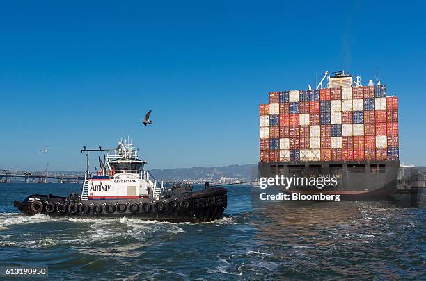 Amnav 69 Yang Ming Marine Stock Photos, High-Res Pictures, and Images - Getty ...