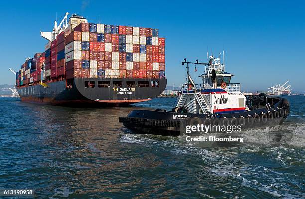 Amnav 69 Yang Ming Marine Stock Photos, High-Res Pictures, and Images - Getty ...