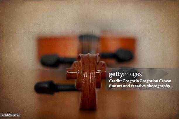violin - gregoria gregoriou crowe fine art and creative photography stock pictures, royalty-free photos & images