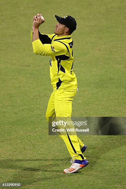 Arcy Short of the Warriors takes a catch to dismiss Glenn Maxwell of the Bushrangers during the Matador BBQs One Day Cup match between Western...