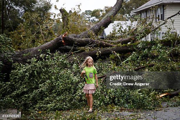 Frances Long examines an elm tree that fell in front of her family's home, October 8, 2016 in Savannah, Georgia. Across the Southeast, Over 1.4...
