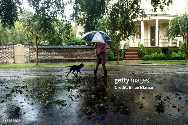 Resident takes his dog for a walk amid fallen branches and nearby flooded streets in the wake of Hurricane Matthew on October 8, 2016 in Charleston,...