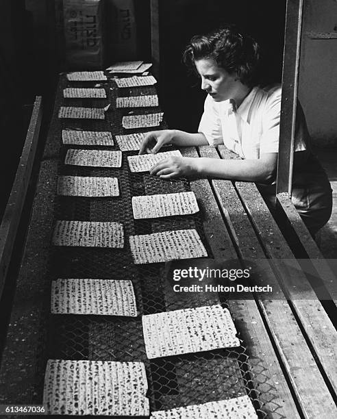 Factory worker inspects matzos at the Mazzo Su Company Limited, which is the largest of the nine factories in Israel.