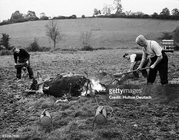 These 3 policemen are burning the carcass of a cow that died of anthrax at Woolstone Hill, Gloucestershire, UK. PCs A. Gait, F. Jones and T. Breen...