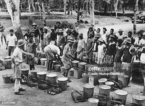 Two colonists examine the rubber collected by the workers on a plantation in French Central / Equatorial Africa. | Location: French Central,...