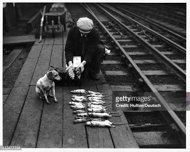 Rat catcher with the results of his work laid out beside the track at Euston Station.