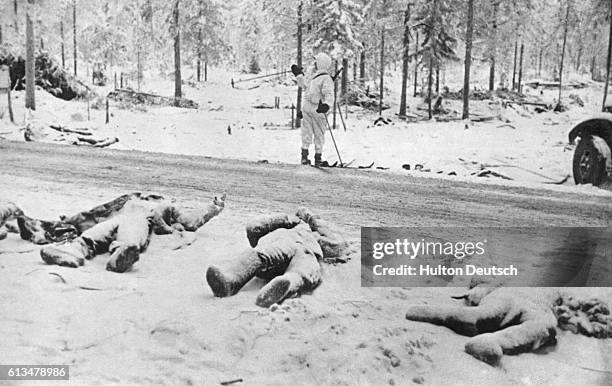 Dead Russian soldiers of the 44th division lie along the roadside after the battle of Suomussalmi in Finland during World War II.
