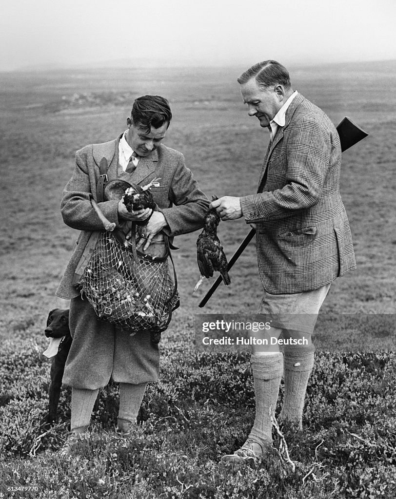 Scene at a Grouse Shoot