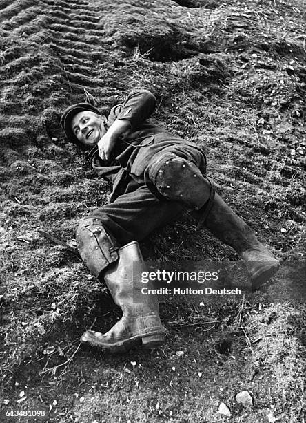 Man reaches down into a rabbit burrow.