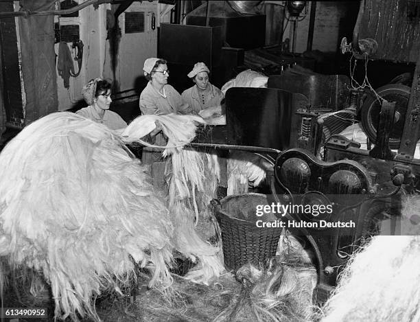 Hemp Rope Process Rope Factory Photos and Premium High Res Pictures - Getty Images