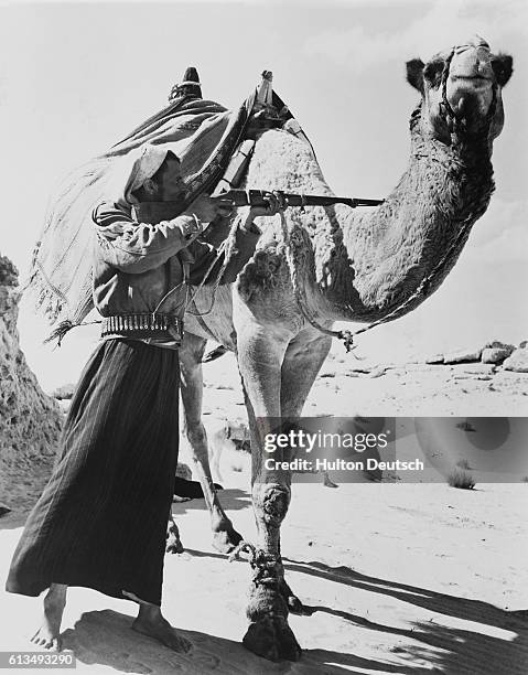 Desert bandit uses his camel for protection as he takes aim.