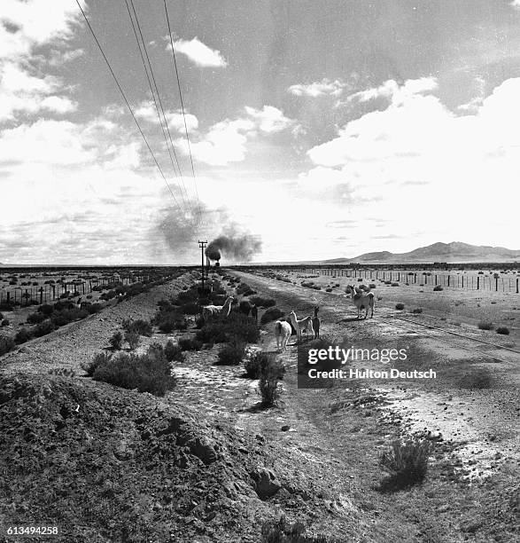 The railroad between Buenos Aires and LaPaz. It passes through the Argentine high-plateau between Abra Pampa and the frontier station La Quiaca. Some...
