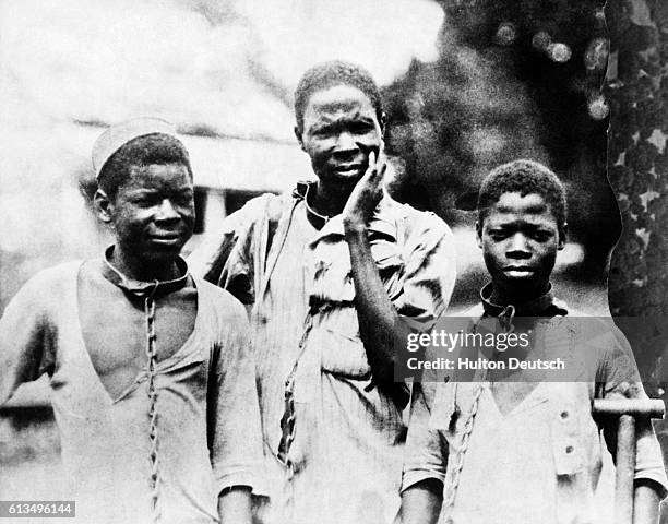 Three Abyssinian slaves in chains.