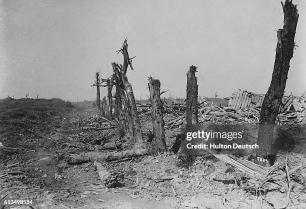 The devastated Somme battleground between Bapaume and Arras in France. The first Allied offensive of the Battle of the Somme failed to break through...