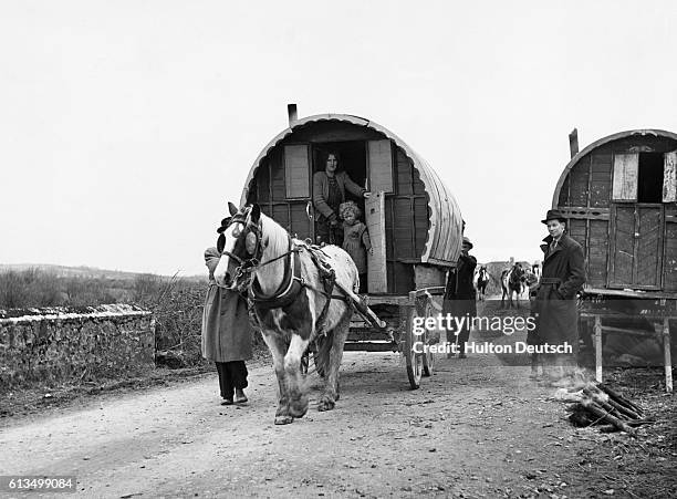 Animal Drawn Wagon Photos and Premium High Res Pictures - Getty Images