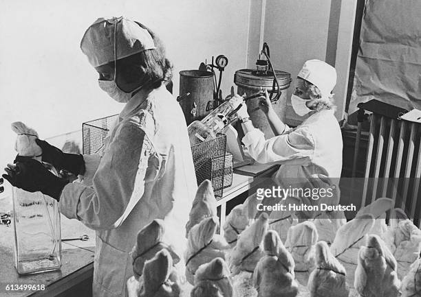 202 Salk Vaccine Stock Photos, High-Res Pictures, and Images - Getty Images