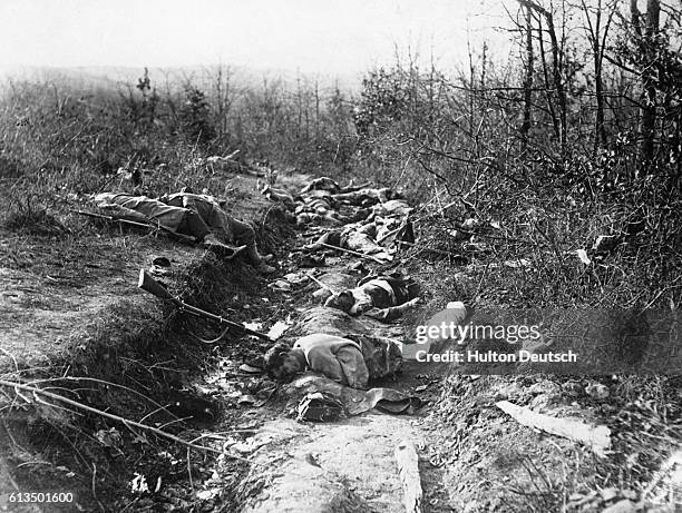 WW1 photo of dead Serbian soldiers in a trench WW1 photo of dead Serbian soldiers in a trench