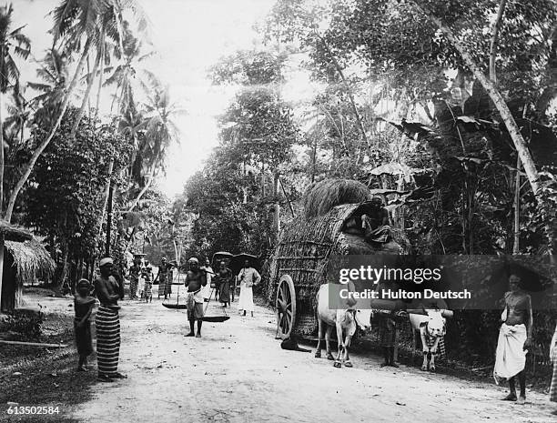 Colombo Point 18 Point De Galle Stock Photos, High-Res Pictures, and Images - Getty ...