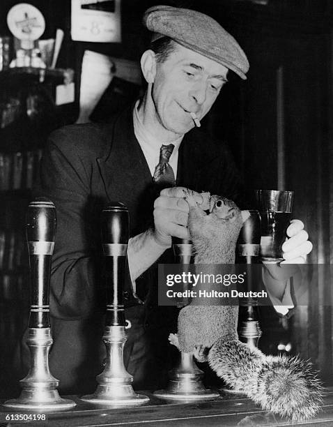 Mr. L. M. Wade, the landlord of the New Cock Inn at Riverhill, pulls a pint with a little assistance from one of the unusual pets which reside on the...