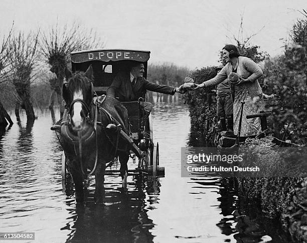 Baker drives his horse and cart through the floodwater in Langport, Somerset, to deliver bread to housewives.