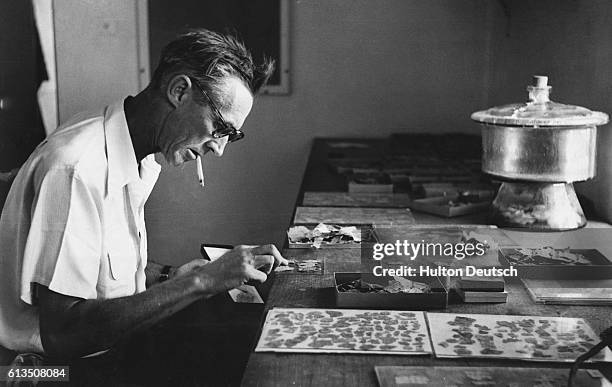 Lankester Harding, British Director of Antiquities of the Hashemite Kingdom of Jordan, pieces together fragments of the Dead Sea Scrolls, at the...