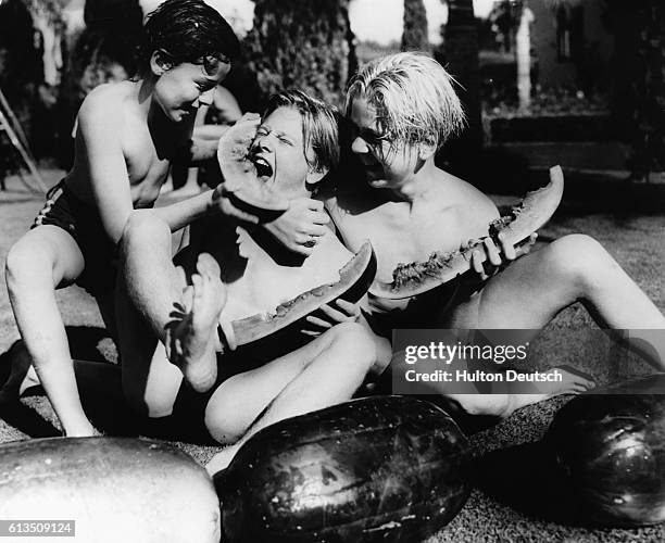 Child actors Freddie Bartholomew , Mickey Rooney and Jackie Cooper , enjoying a feast of watermelons at the Christmas Day party given by W.S. Van...