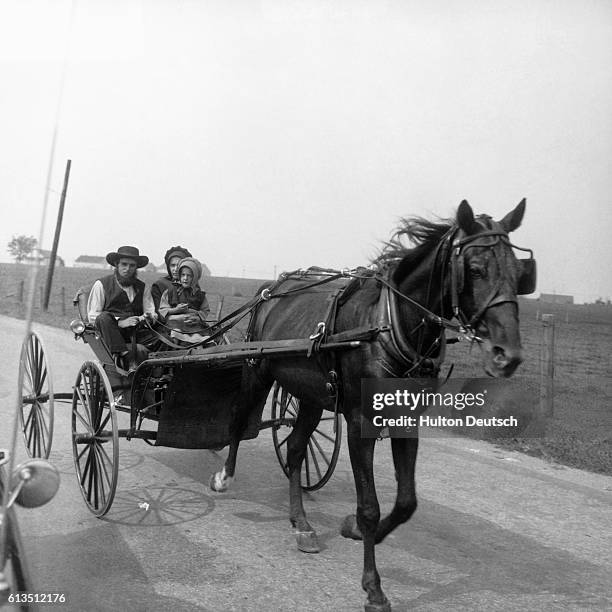 Amish Family Riding in Buggy