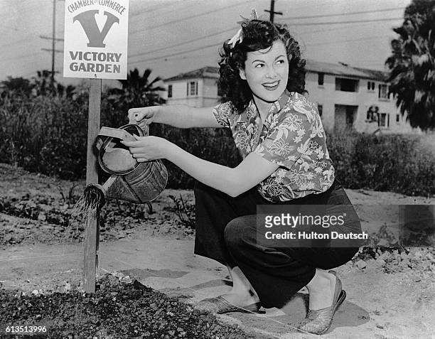 American actress Barbara Hale waters a communal garden established by the Chamber of Commerce, United states, 1945.